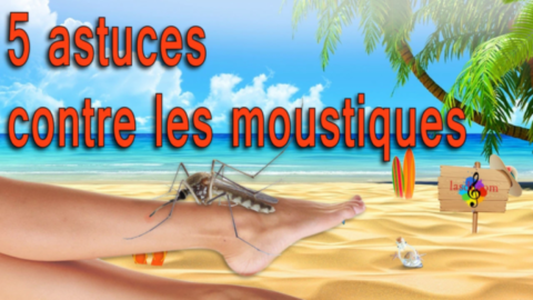 Astuces contre les moustiques
