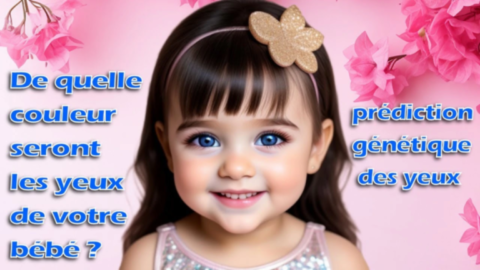 Prédiction Des Yeux De Votre Bébé