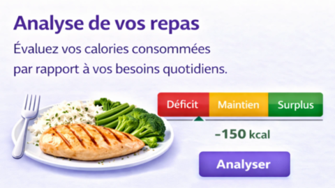 Calcul IMC avec silhouette et indicateur de corpulence